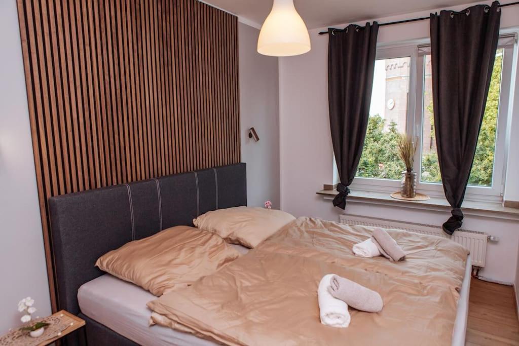 Sunny & Cozy - Netflix - Wifi - City - 4 Person 埃森 外观 照片