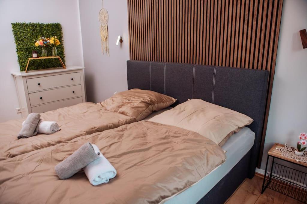 Sunny & Cozy - Netflix - Wifi - City - 4 Person 埃森 外观 照片